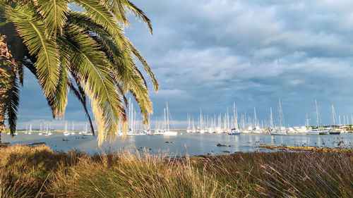 Scenic view of sea against sky