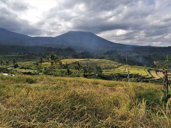 Scenic view of field against sky