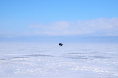 Scenic view of snowy field against sky