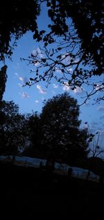 Low angle view of silhouette trees against sky