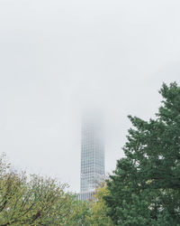 Trees in city against sky