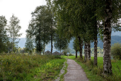 Road amidst trees on field against sky