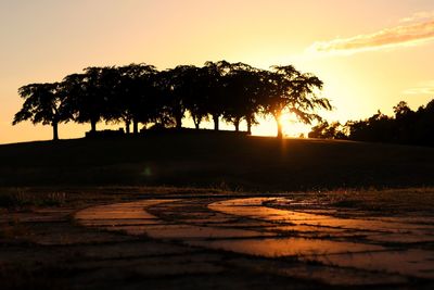 Silhouette trees against sky during sunset