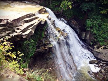Scenic view of waterfall in forest