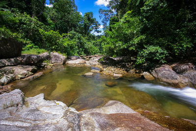 Stream flowing through rocks in forest