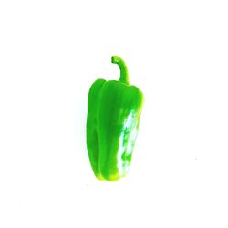 Close-up of green pepper against white background