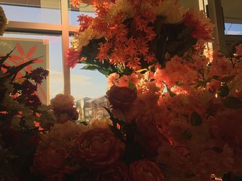 Close-up of flowers in window