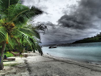 Palm trees on beach against cloudy sky