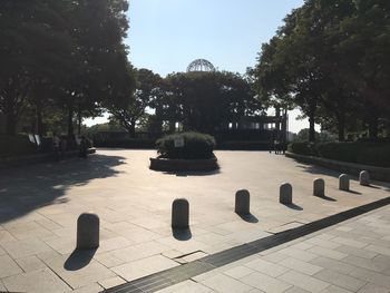 Trees against clear sky