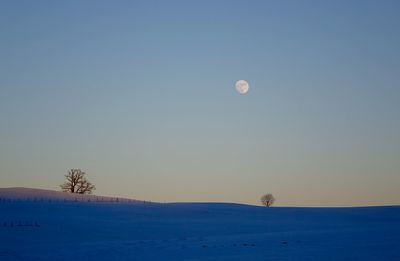 Scenic view of landscape against clear sky