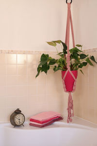 Pink homemade macrame plant hanger in bathroom corner, home decor