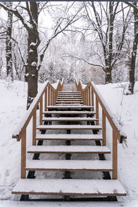 Staircase by snow covered trees during winter