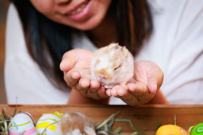 Midsection of woman holding baby rabbit