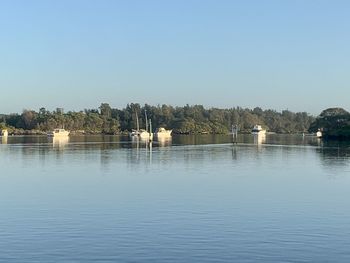 Scenic view of river against clear sky