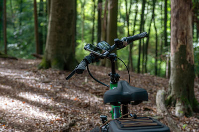 Bicycle on tree trunk in forest