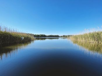 Scenic view of lake against clear blue sky