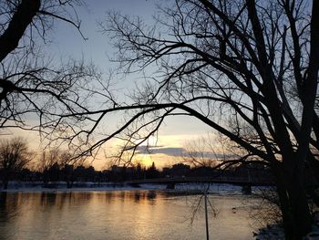 Silhouette bare tree by lake against sky during sunset