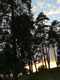 Low angle view of silhouette trees against sky at sunset