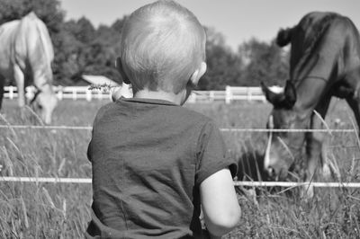 Rear view of boy looking at horses on field
