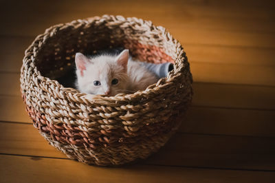 Cute tan kitten peeking out over the top of a wicker basket.