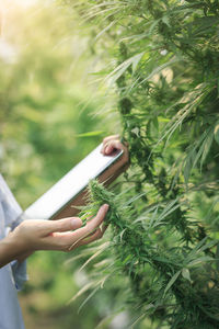 Midsection of woman holding plant