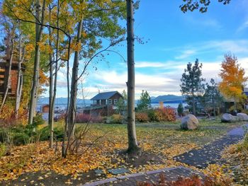 View of autumn leaves on landscape against sky