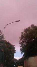 Trees against sky
