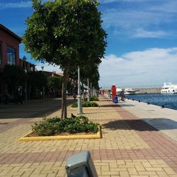 Road with buildings in background