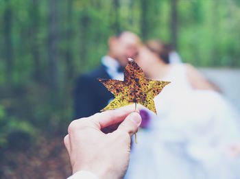 Cropped hand holding dry leaf in forest