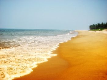 Scenic view of beach against clear sky