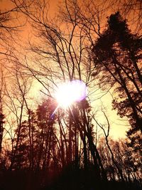 Low angle view of silhouette trees against sky at sunset