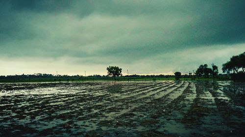 Scenic view of agricultural field against sky