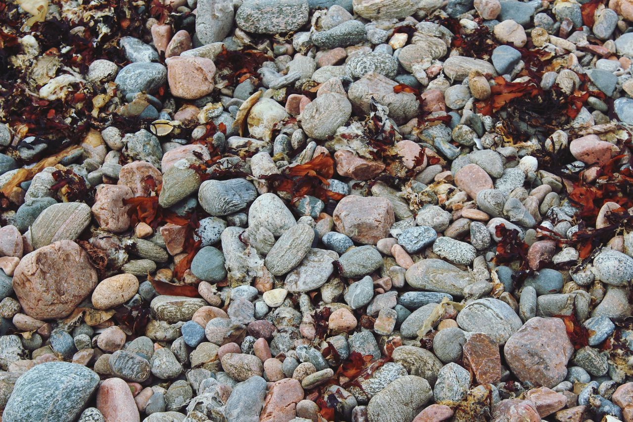 pebble, beach, shore, pebble beach, full frame, nature, backgrounds, abundance, no people, day, large group of objects, outdoors, close-up, beauty in nature