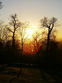 Silhouette trees against sky during sunset