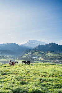 Scenic view of field against sky with cows