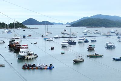 High angle view of boats moored at harbor