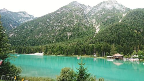 Scenic view of lake in forest