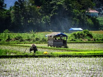 Man working on field