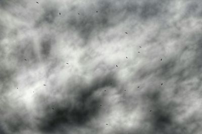 Low angle view of birds flying against cloudy sky