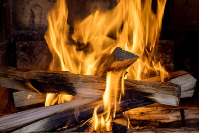 Close-up of campfire at night