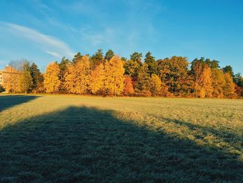 Autumn trees on field against sky