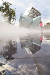Trees against cloudy sky