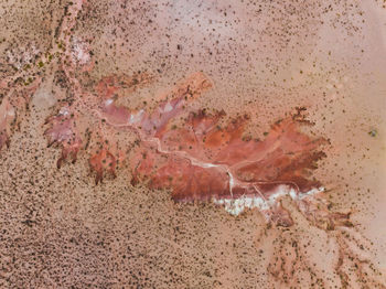 Desert textures in the quebrada de humahuaca, jujuy, argentina.