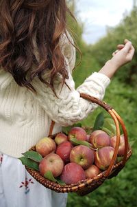 Midsection of woman holding apple in basket