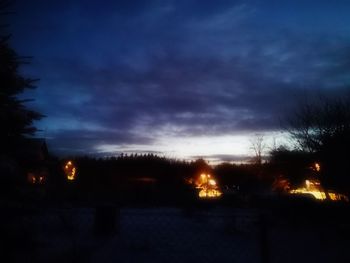 Silhouette of trees at night