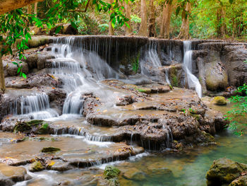 View of waterfall in forest