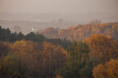 Plants and trees against sky during autumn