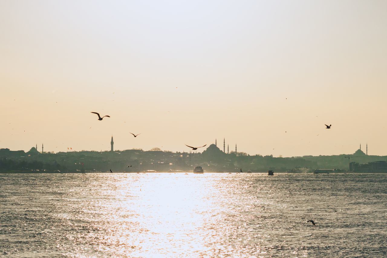 FLOCK OF BIRDS FLYING OVER SEA