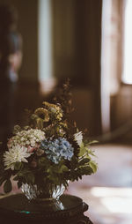 Close-up of potted plant on table