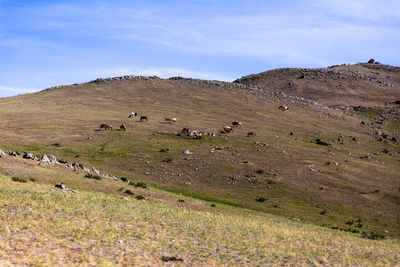 Scenic view of landscape and mountains against sky